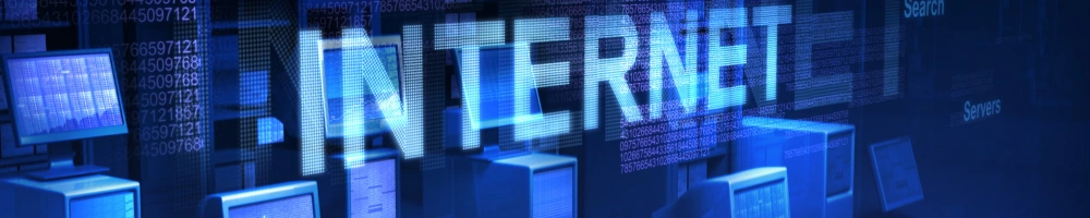 remote or on-site support