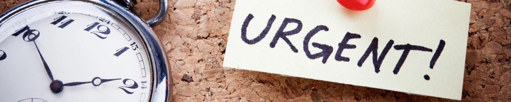 remote or on-site support