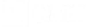 IT services for GMH