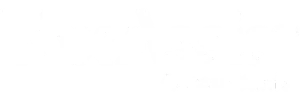 IT services for tax assist